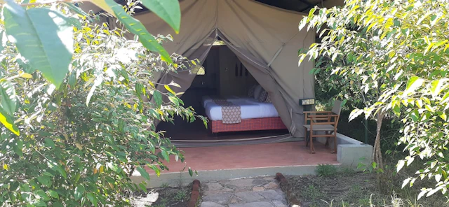 PrideInn Mara Camp & Cottages