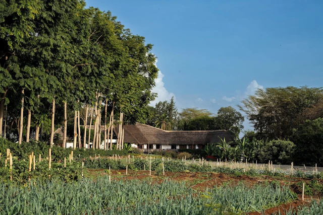 Ngorongoro Farm House