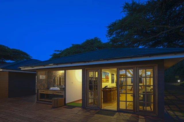 Ngorongoro Lions Paw