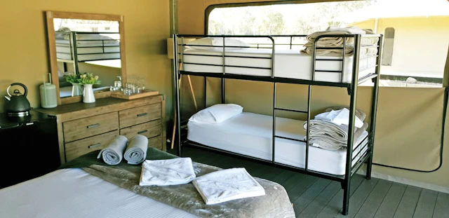 Habitat Noosa Everglades Eco Camp