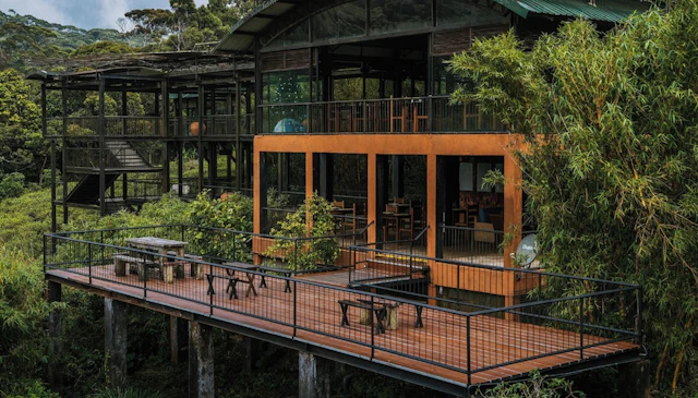 The Rainforest Ecolodge