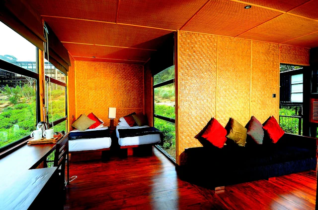 The Rainforest Ecolodge