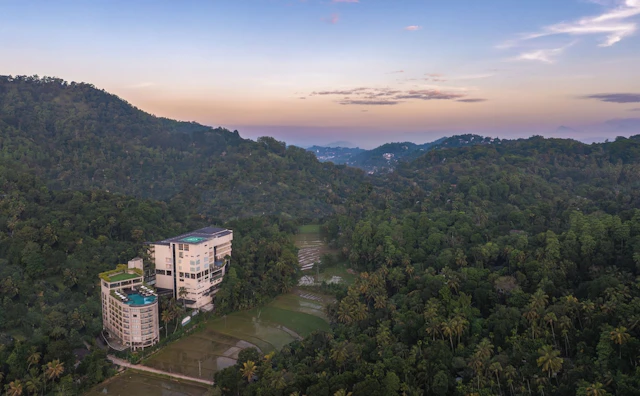 The Golden Crown Hotel