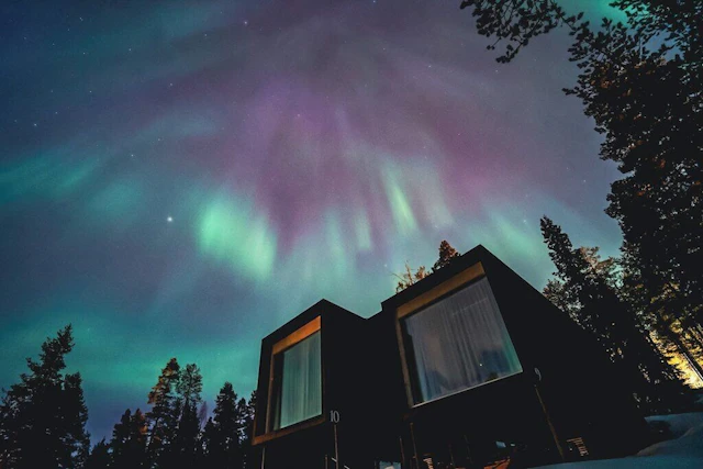 Arctic TreeHouse Hotel