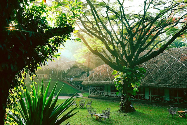 Spice Village - Cgh Earth