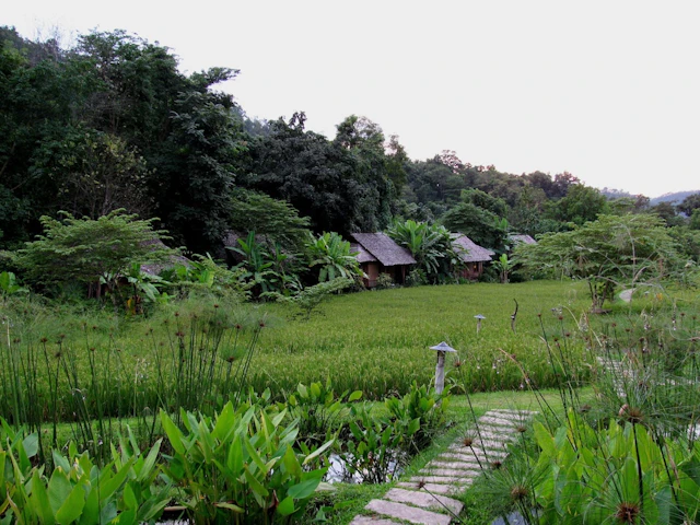 Fern Resort