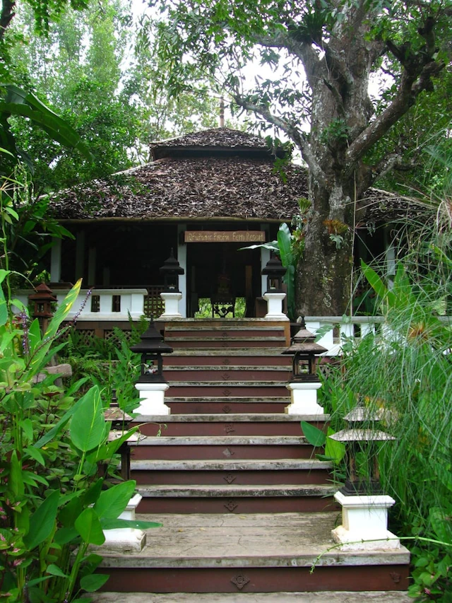 Fern Resort