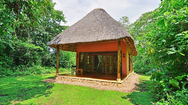 Primate Lodge