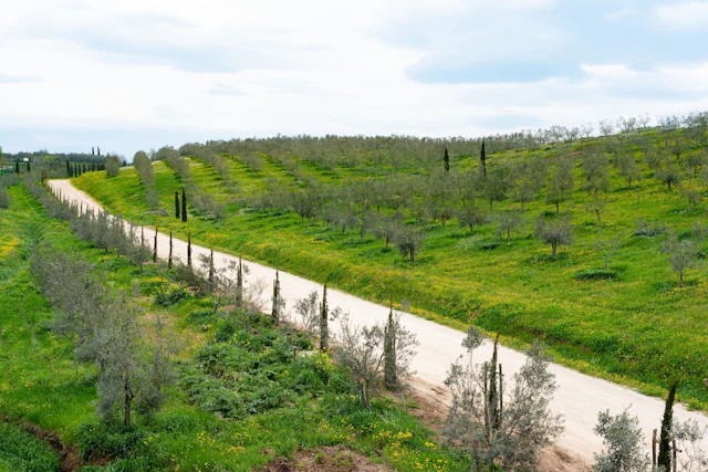 Il Podere di Marfisa