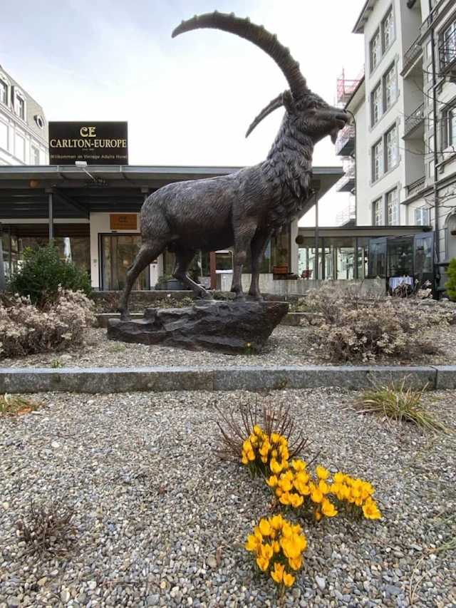 Carlton-Europe Vintage Adults Hotel