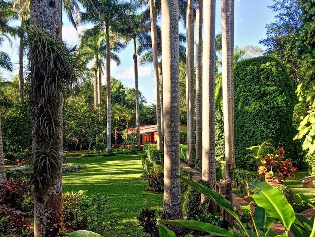 Hacienda Chichen Resort & Yaxkin Spa