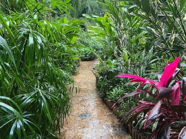 La Ceiba Hotel Spa