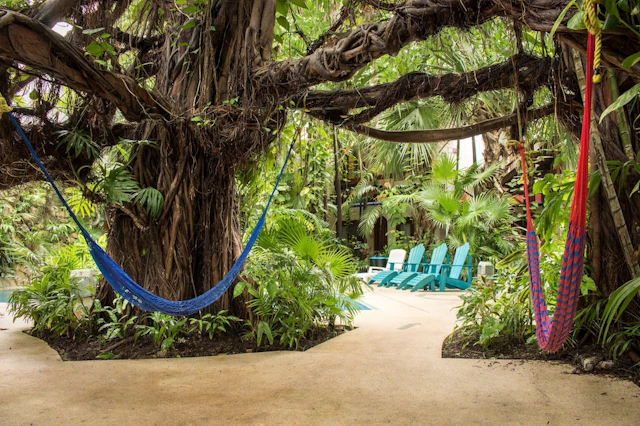 Eco-Hotel El Rey del Caribe