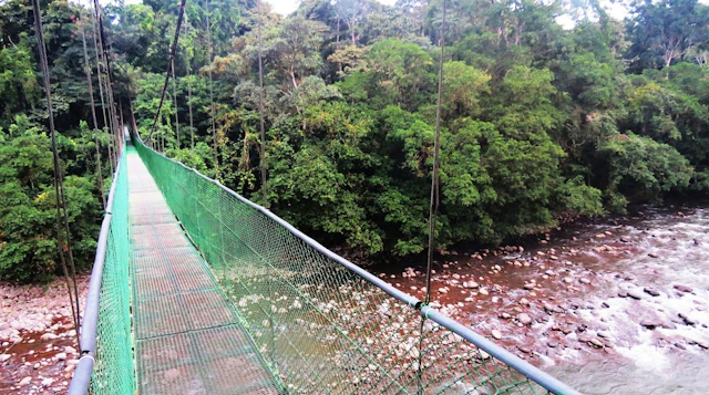 Tirimbina Rainforest Lodge